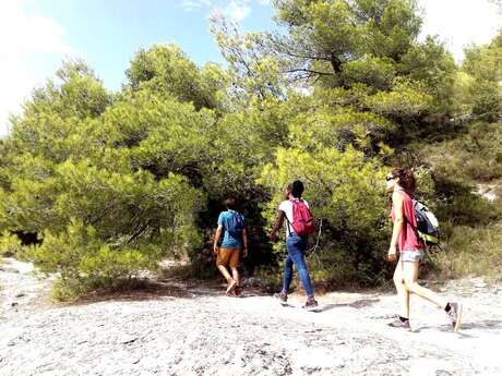 LES BEAUMETTES - Sentier botanique