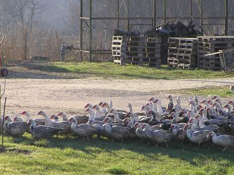La Ferme du Vieux Hameau