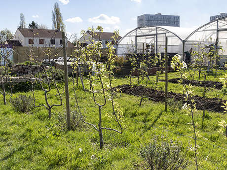 Urban farm - The Farm of Possibilities of Bois Moussay