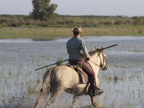 Manade La Grand Ponche