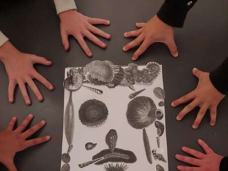 La Nuit des Musées : activités jeux