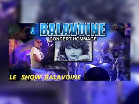 LE SHOW BALAVOINE