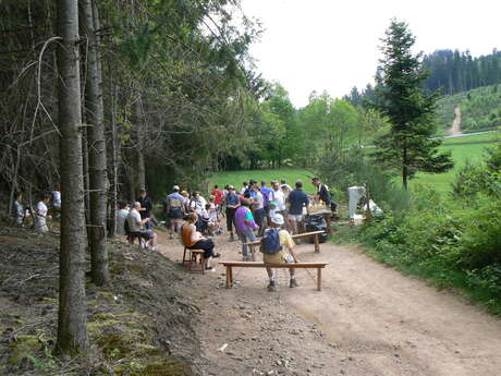 Marche des Grands Bois Marche des Grands Bois