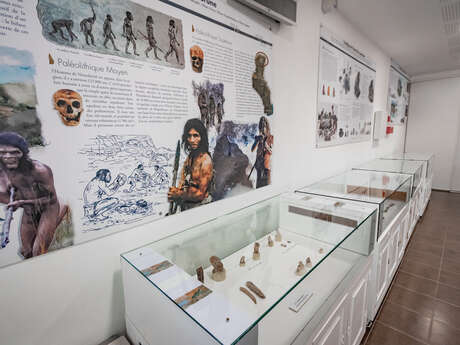 Exposition : Néandertal en Provence