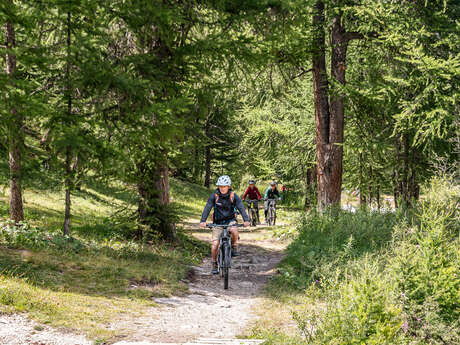 Ecole VTTAE / E-Bike - Évolution 2