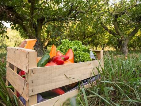 Marché des producteurs et artisans locaux Du 3 mai au 27 sept 2024