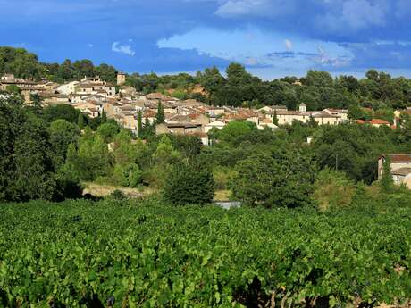 Maintien du Marché Provençal du vendredi matin