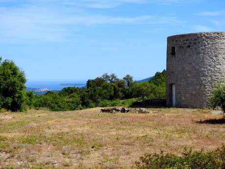 Les vieilles tours - Les moulins