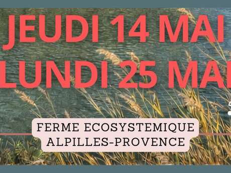 Open Day at the Domaine du Temps Perdu
