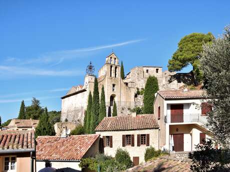 Enquête dans les vignes - Murder party à Gigondas