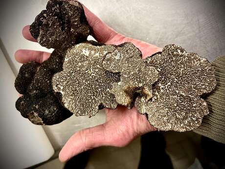 "Soirée Diamant Noir" : menu autour de la truffe à L'Araignée Gourmande