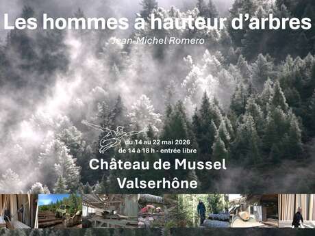 Les hommes à hauteur d'arbres