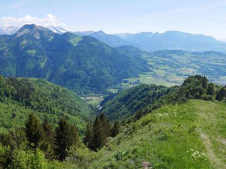 Balade pédestre - La Pointe des Brasses depuis La Joux