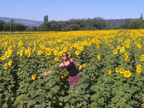 Provence Excursions - Circuits touristiques - tours privés et transferts