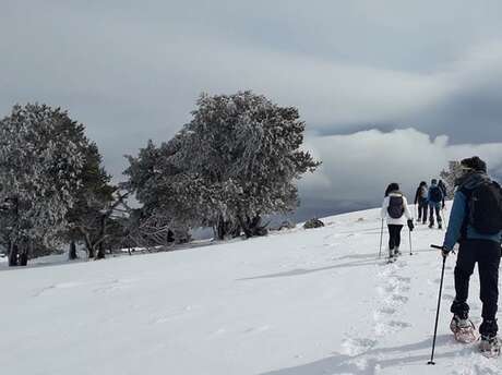 Rando journée raquettes à neige avec les sentiers de Babeth