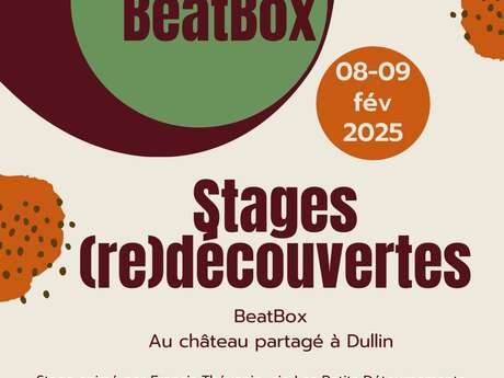 Stage de Beatbox