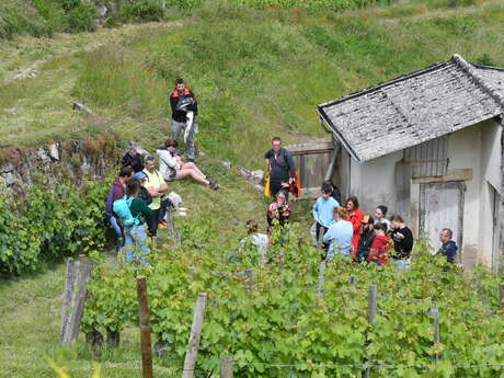 Domaine des Crocs Blancs