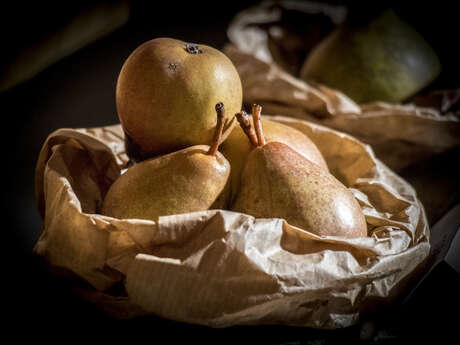 23ème Marché aux Fruits Anciens