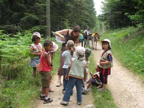 Anne-Marie Griot - guide accompagnatrice de moyenne montagne