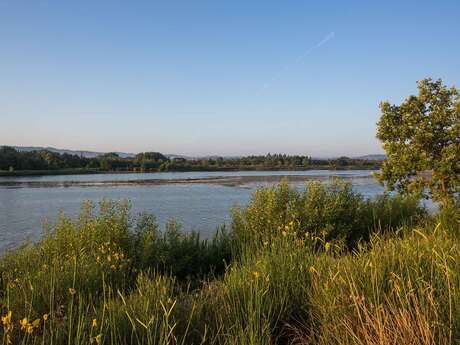 Nature en famille : de la Garrigue à l'observation des oiseaux