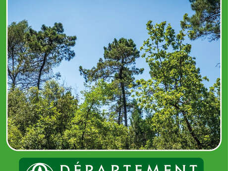 Balade découverte " Les arbres du parc "