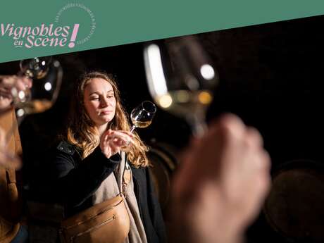 Culture et Vins au Domaine Anthony Paret