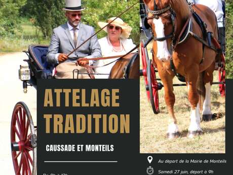 Concours d'attelage de tradition