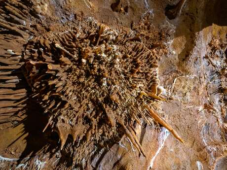 Les Nocturnes de la grotte du Bosc Les Nocturnes de la grotte du Bosc