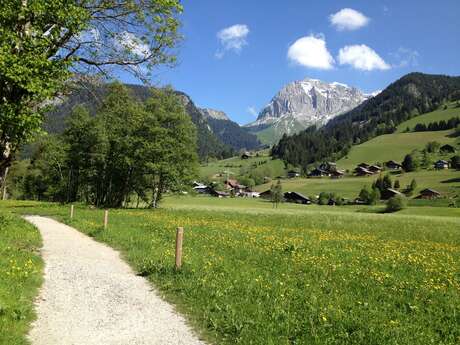 Path along the banks of the Dranse from Abondance to Châtel