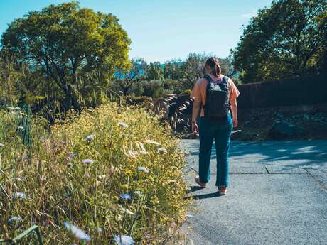 Wanderweg von Grimaud nach Cogolin über la Réparade