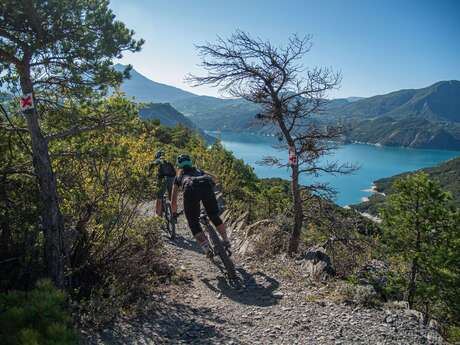 N°18 - Serre Renard