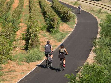 La Méditerranée à vélo n°5 : Draguignan > Cannes