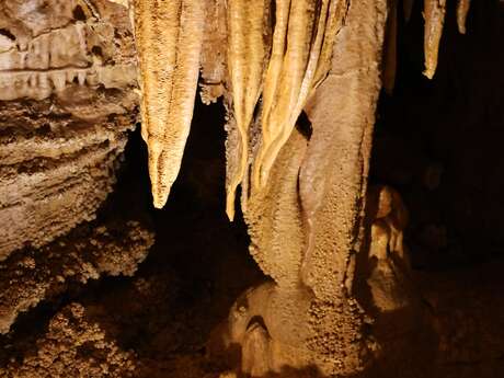 Grotte du Bosc