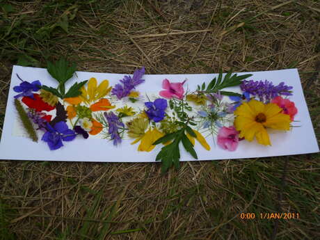 Fête des jardins partagés