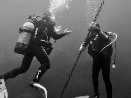 SSI Basic Diver stage plongée
