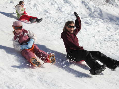 Course de luge