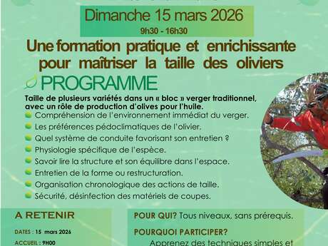 Apprenez l'art de la taille des oliviers
