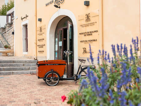 Xavier Vignon La Boutique