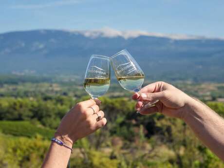 Balade vigneronne dans les ocres