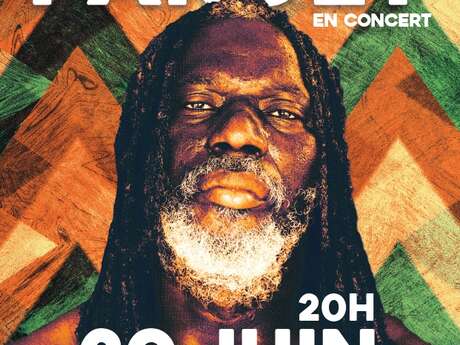 Tiken Jah Fakoly en concert