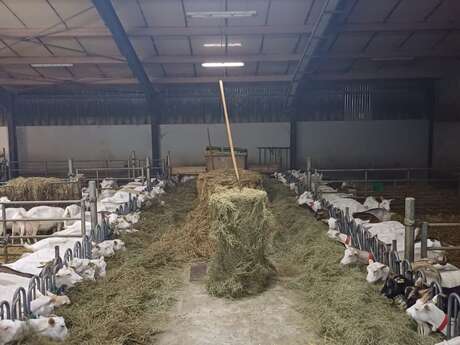 G.A.E.C De l'Alambic