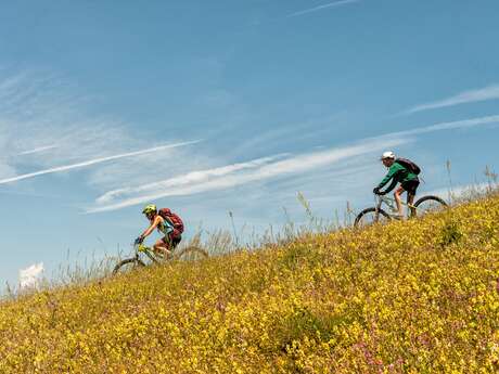 Liaison VTT - Selonnet - Seyne