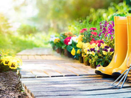 Vente de fleurs & plants de légumes