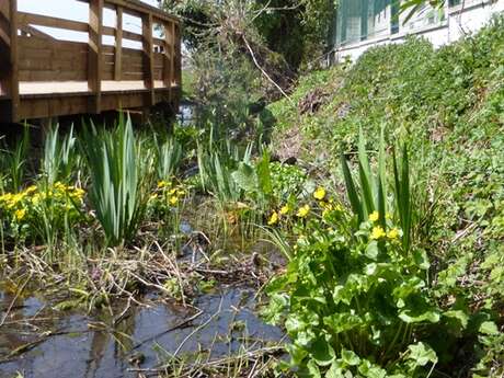 Natuurgebied Les Gavilles