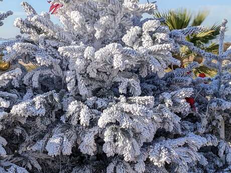 Noël féerique quartier Notre-Dame du Mont