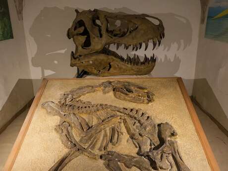 Dans la peau des paléontologues