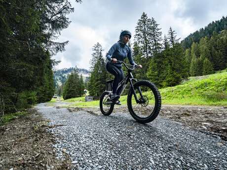 Bike Park First Wheel