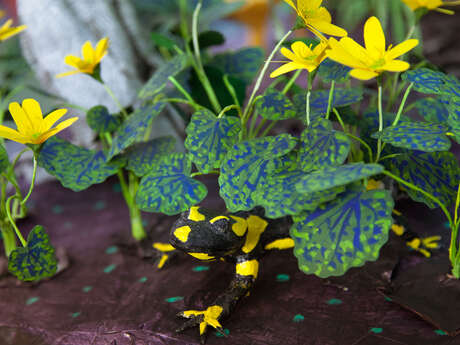 Atelier enfant autour de l’exposition