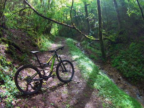 MTB track n°4 (red) - Meillonnas/Treffort