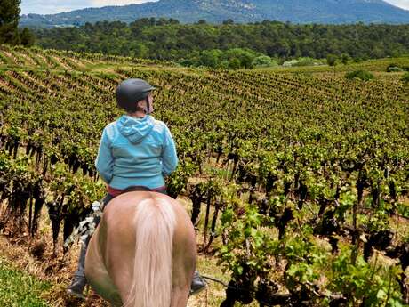Balade équestre au coeur des vignes | Vignobles en scène
